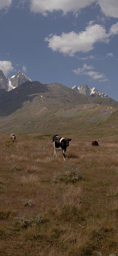 ‎#ليس قوة خارقة