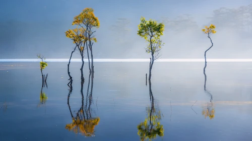 Photo by 壁纸迷