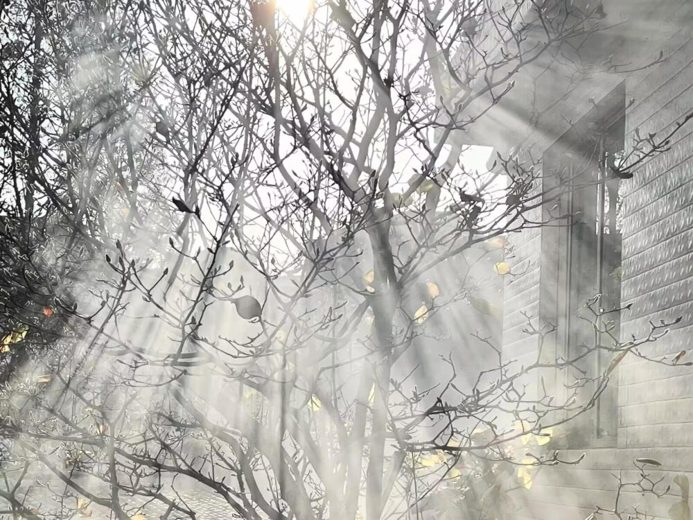 太努力的我们最后用力给祝福