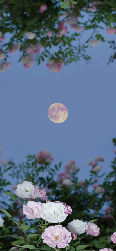 ‎#ليس قوة خارقة