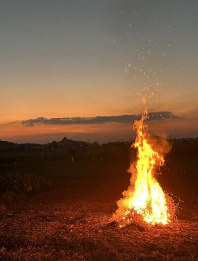 以为我终于解脱了，结果是梦醒了