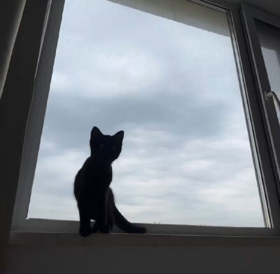 女生头像背景图搭配