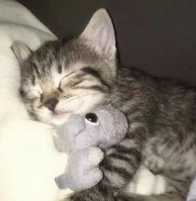 我是不会放弃收集这种图片的