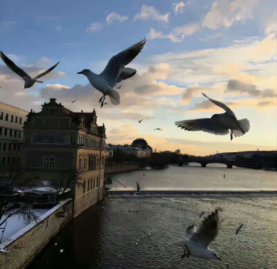 女生头像背景图搭配