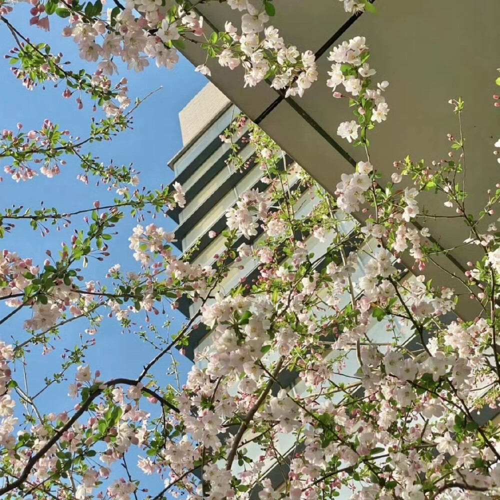 女生头像背景图搭配