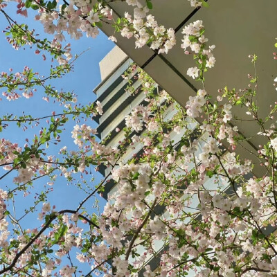 女生头像背景图搭配