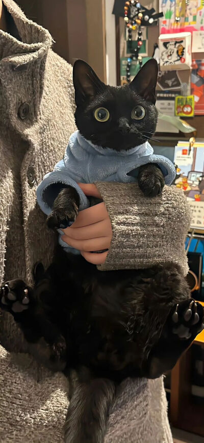 我是不会放弃收集这种图片的