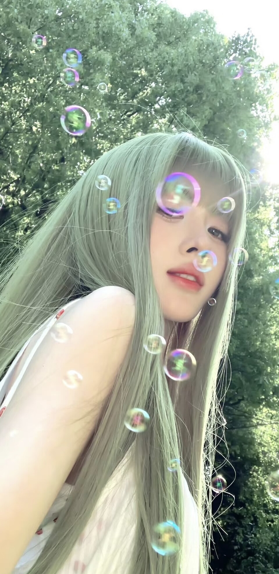 鞠婧祎 头像 壁纸