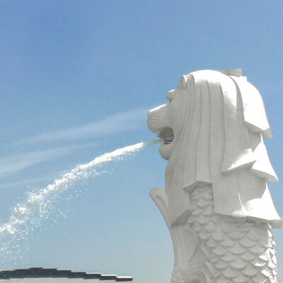 Le dicton:恐驚枝上雀 卻道樹常青