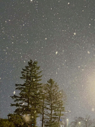 251205
金南俊更新ins