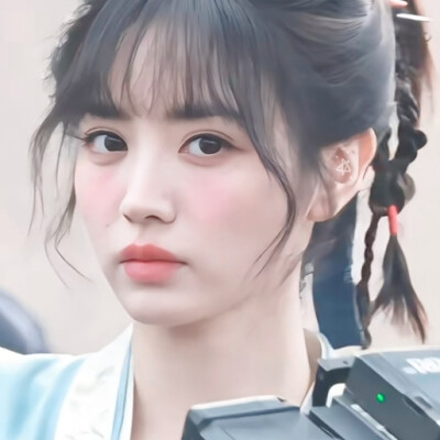 你可有听说，猫界竟出了个大侠？！