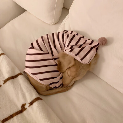 图源ks：偷喝汽水