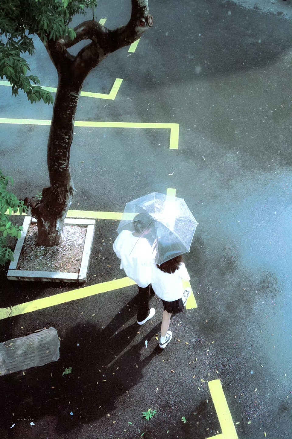 今天是太阳雨
-杨超越 董思成 ​​​