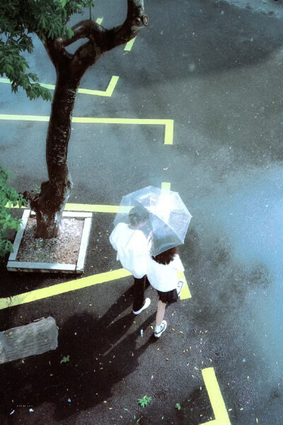 今天是太阳雨
-杨超越 董思成 ​​​