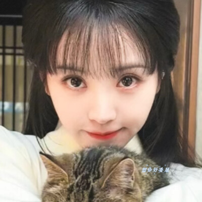 春山的梨花行不至江南