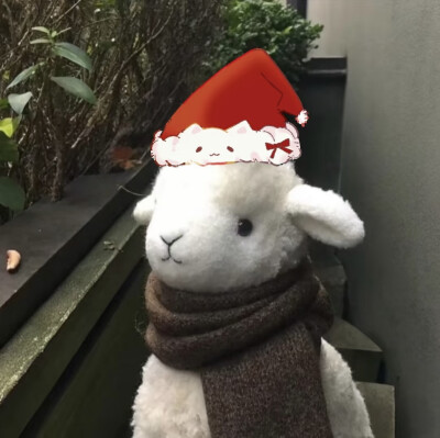 谁说可可西里没有海