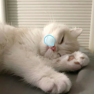 图源ks：偷喝汽水