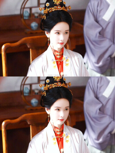 陈都灵庄寒雁 雁回时
cr：拜鹤