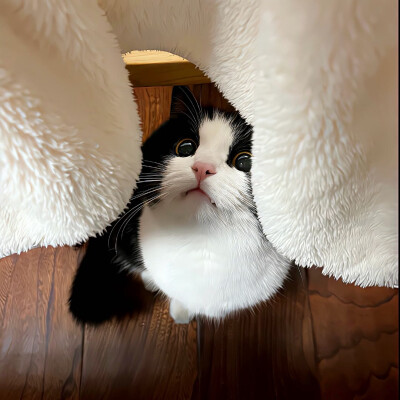 图源ks：偷喝汽水