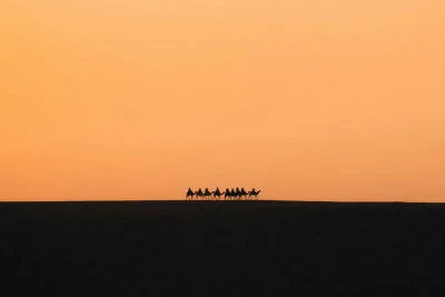 Photo by WPcoder