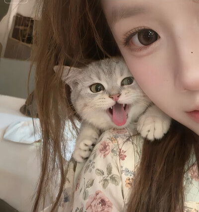 高质量女头
拿图收藏专辑/关注