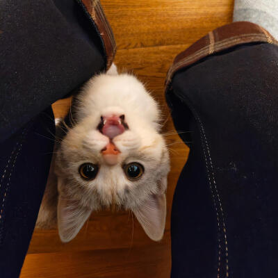 背景·图源微博