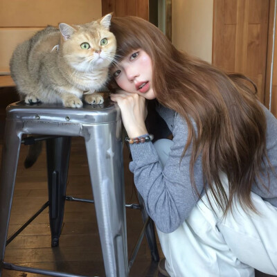 明知不可为而为之