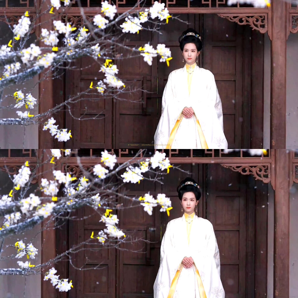 陈都灵庄寒雁 雁回时
cr：拜鹤