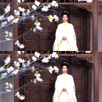 陈都灵庄寒雁 雁回时
cr：拜鹤