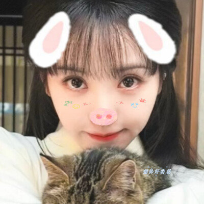 春山的梨花行不至江南