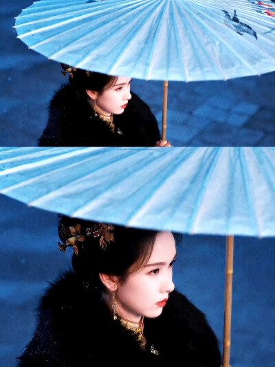 陈都灵庄寒雁 雁回时