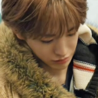 (｡･ω･｡)(´･ω･`)(´-ω-`)( •̀ ω •́ )