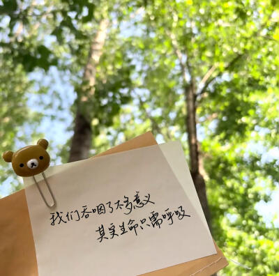 文案·图源微博