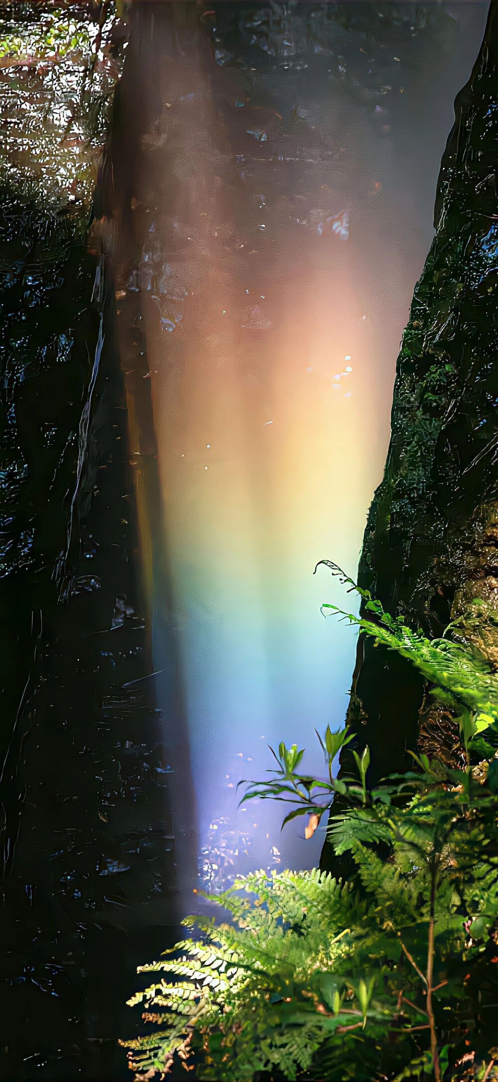 手机壁纸 | 聊天背景图