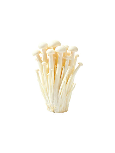 蘑菇菌类白底头像