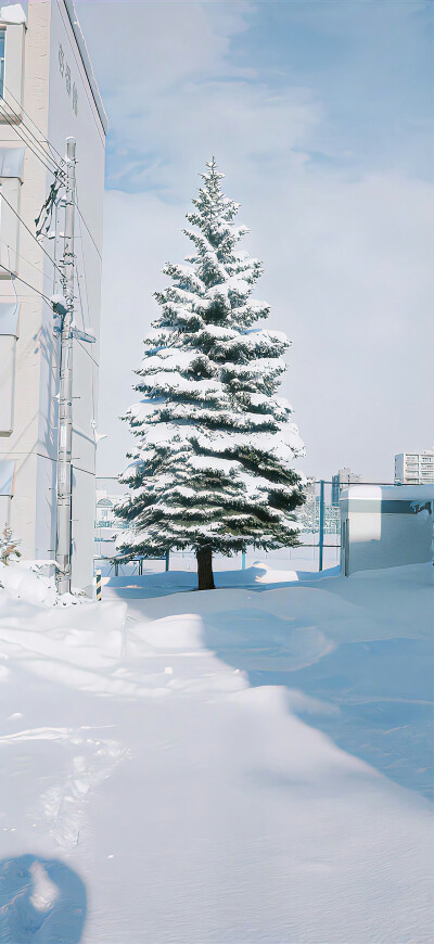 手机壁纸｜聊天背景图