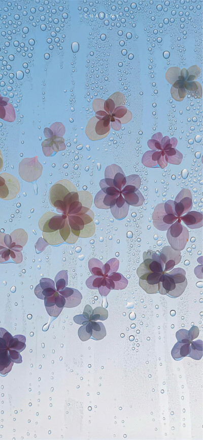 手机壁纸｜聊天背景图