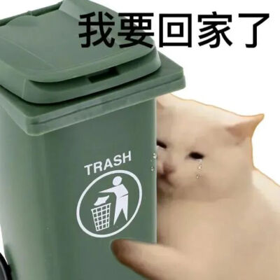 猫猫表情包