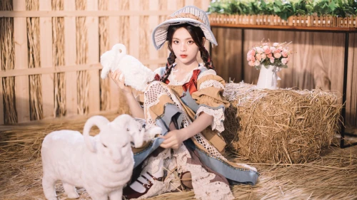Photo by 壁纸迷