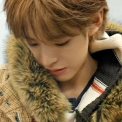 (｡･ω･｡)(´･ω･`)(´-ω-`)( •̀ ω •́ )