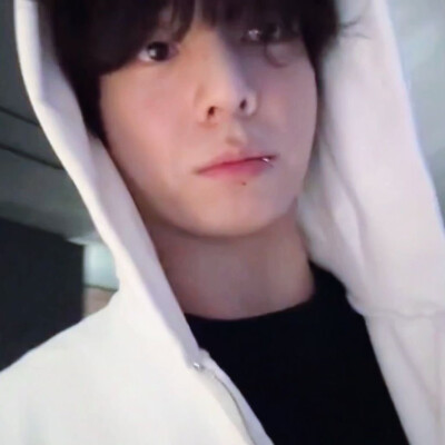 双马尾书呆疑似训狗天才