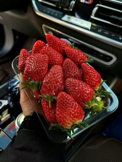 我自甘堕落 救我就是害我。