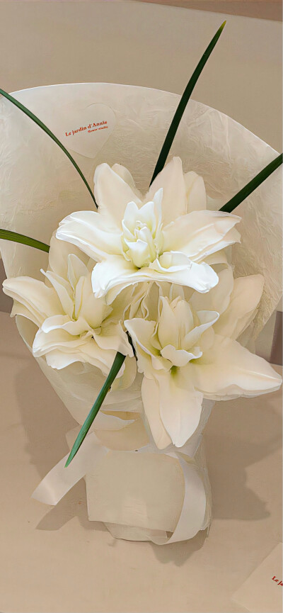 手机壁纸｜聊天背景图