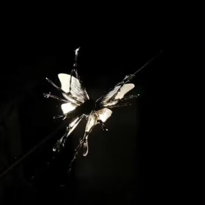 忧郁男神竟然在我身边