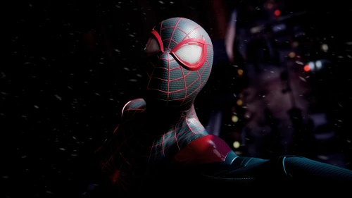 Photo by WPcoder