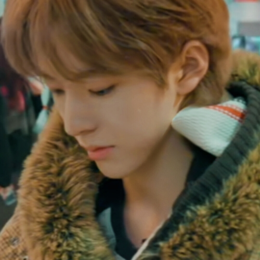 (｡･ω･｡)(´･ω･`)(´-ω-`)( •̀ ω •́ )