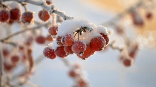 Photo by WPcoder