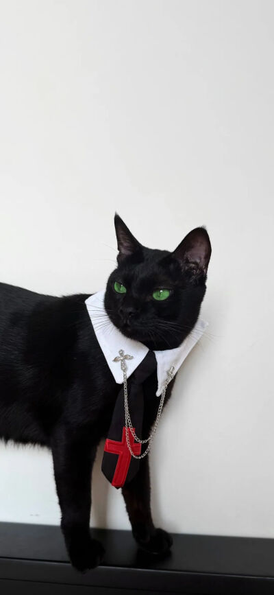 我是不会放弃收集这种图片的