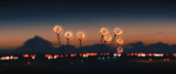 Photo by WPcoder