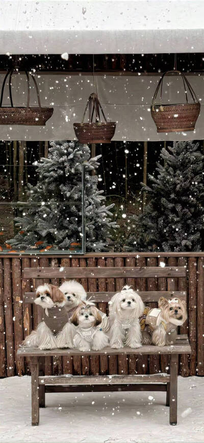 冬季氛围感壁纸